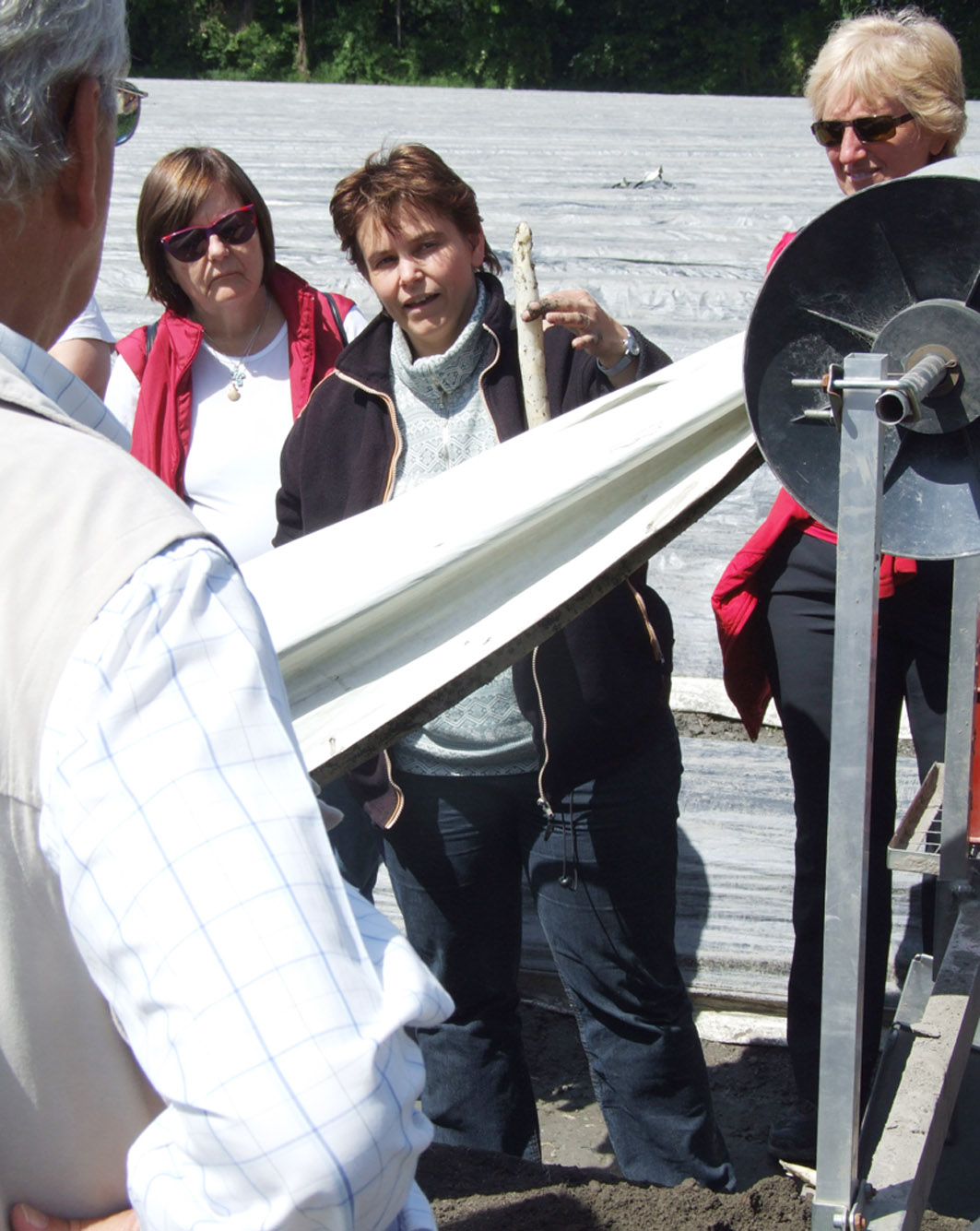 der Spargel_jpg-1337689918