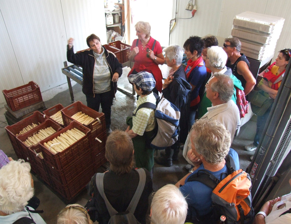 die Chefin erkl__rt_jpg-1337689922