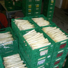 gewaschen_sortiert_jpg-1337689934