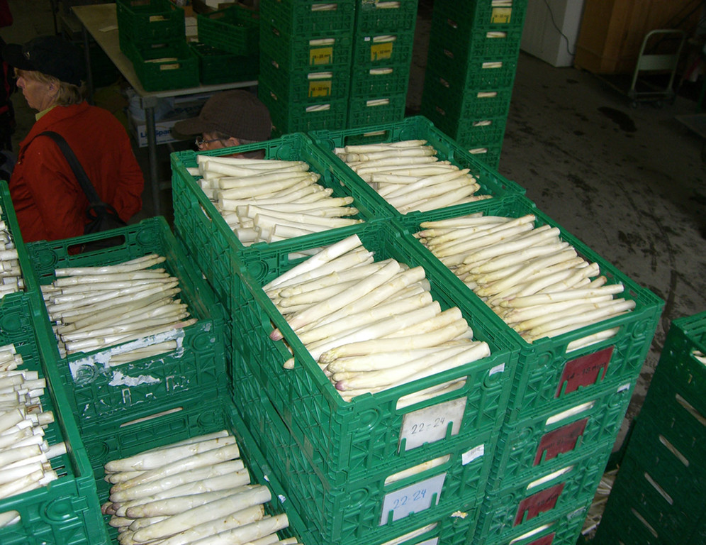 gewaschen_sortiert_jpg-1337689934