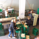 im Betrieb_jpg-1337689939