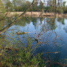 Natur pur_jpg-1337689960