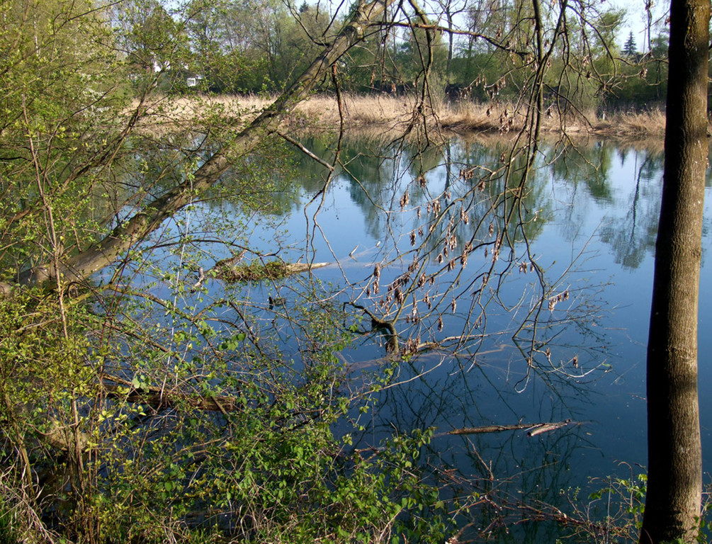 Natur pur_jpg-1337689960