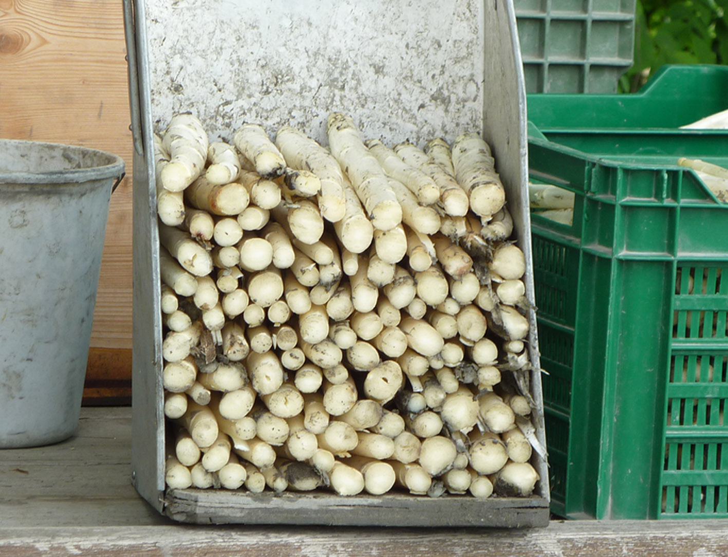 Sammelbehaelter_jpg-1337689964