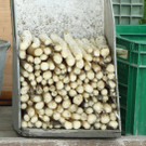 Sammelbehaelter_jpg-1337689964