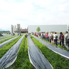 Schmitterfeld_jpg-1337689968