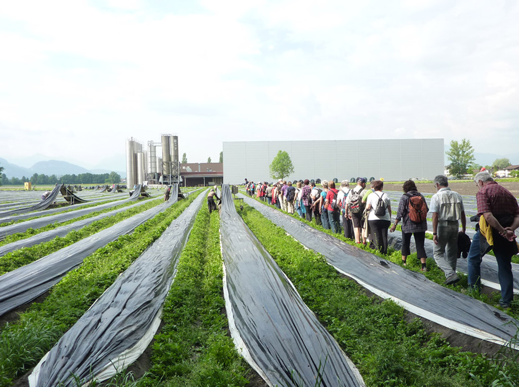 Schmitterfeld_jpg-1337689968