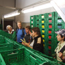 Sortiermaschine_jpg-1337689973