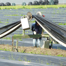 Wagen_ Plane _ Behaelter_jpg-1337690018