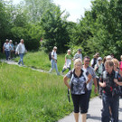 zur__ck ins Zentrum_jpg-1337690041