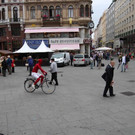 1ceb3659966fc6083683c0e2dc3b64ea_640.jpg