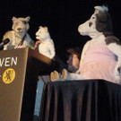 4Katze___jpg-1337702540