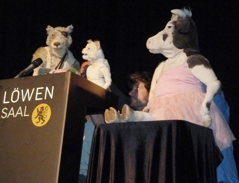 4Katze___jpg-1337702540