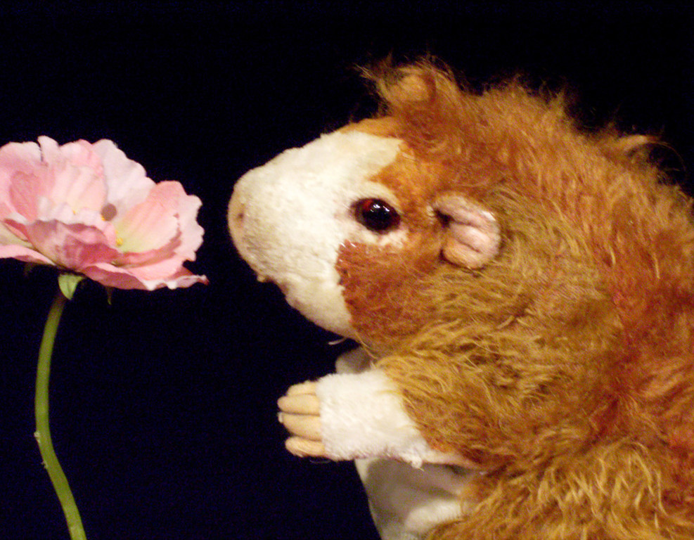 Muffin2_jpg-1337702843