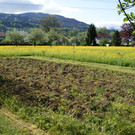 DSC02886.JPG
