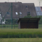 DI10383-20120522.jpg