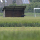 DI10379-20120522.jpg