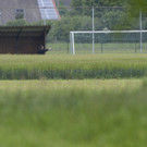 DI10378-20120522.jpg