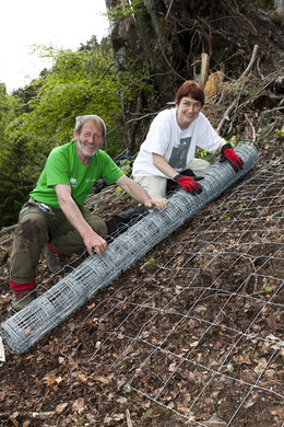 Bergwaldprojekt34_JPG-1337757074