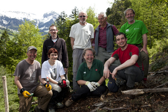 Bergwaldprojekt54_gross_JPG-1337757123