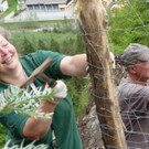 Bergwaldprojekt01_klein_JPG-1337757184