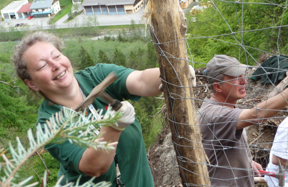 Bergwaldprojekt01_klein_JPG-1337757184