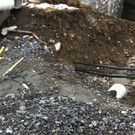 IMG_1109_JPG-1337764439