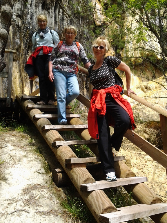 die h__hner auf der leiter_JPG-1337795826