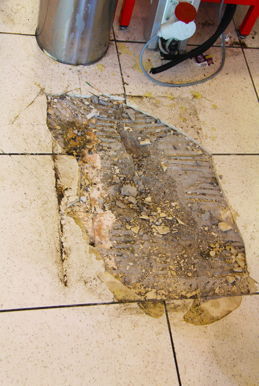 IMG_0891_JPG-1337798800