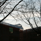 BK_200110 busy days 026.jpg