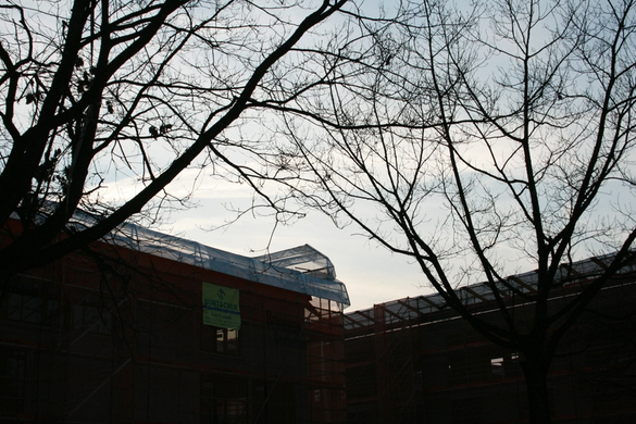 BK_200110 busy days 026.jpg