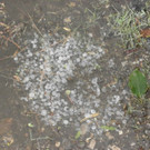 normal_23052012anifunwetterat05007aktivnews_35.jpg