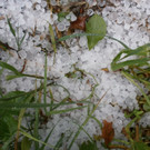 normal_23052012anifunwetterat05007aktivnews_37.jpg
