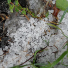normal_23052012anifunwetterat05007aktivnews_39.jpg