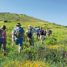 shutterstock_6189232.jpg