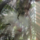 DSCF0047.JPG