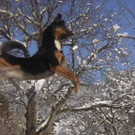 DSCN2817.JPG