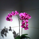 Foto09.JPG