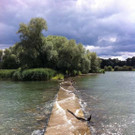 Foto14.JPG