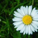 Foto41.JPG