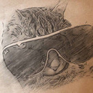 funny_photo_20120514162936.jpg