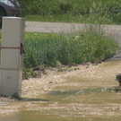 normal_24052012fmt_unwetter_ex_16.jpg