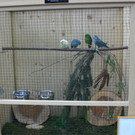 CIMG8660_JPG-1337880909