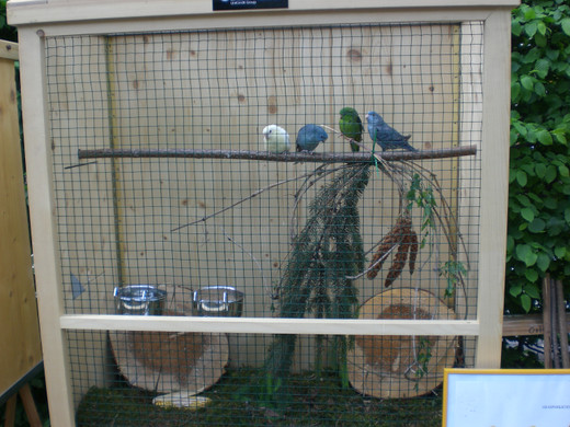 CIMG8660_JPG-1337880909