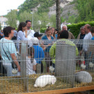 CIMG8669_JPG-1337880985