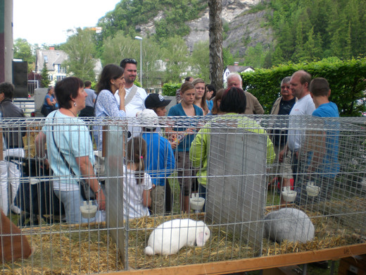 CIMG8669_JPG-1337880985