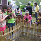 CIMG8685_JPG-1337881140