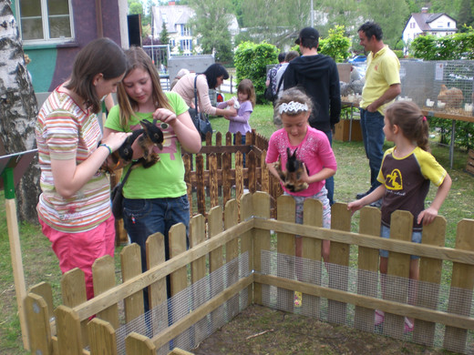 CIMG8685_JPG-1337881140