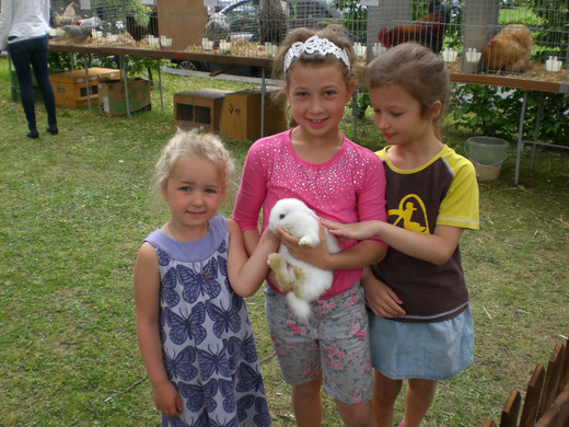 CIMG8703_JPG-1337881218