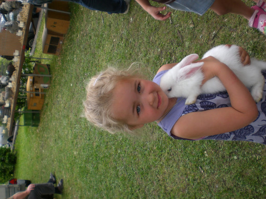 CIMG8706_JPG-1337881295